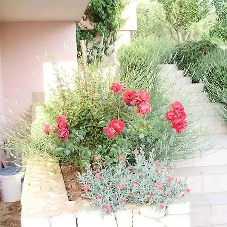 In Okrug Gornji With Balcony, Air Conditioning, Wifi, Dishwasher 5048-1 * Trogir